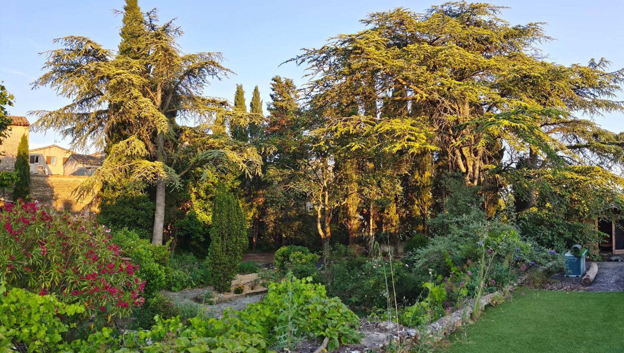 Bed and Breakfast Rue Du Chateau A Cabrieres D'Avignon Exterior foto
