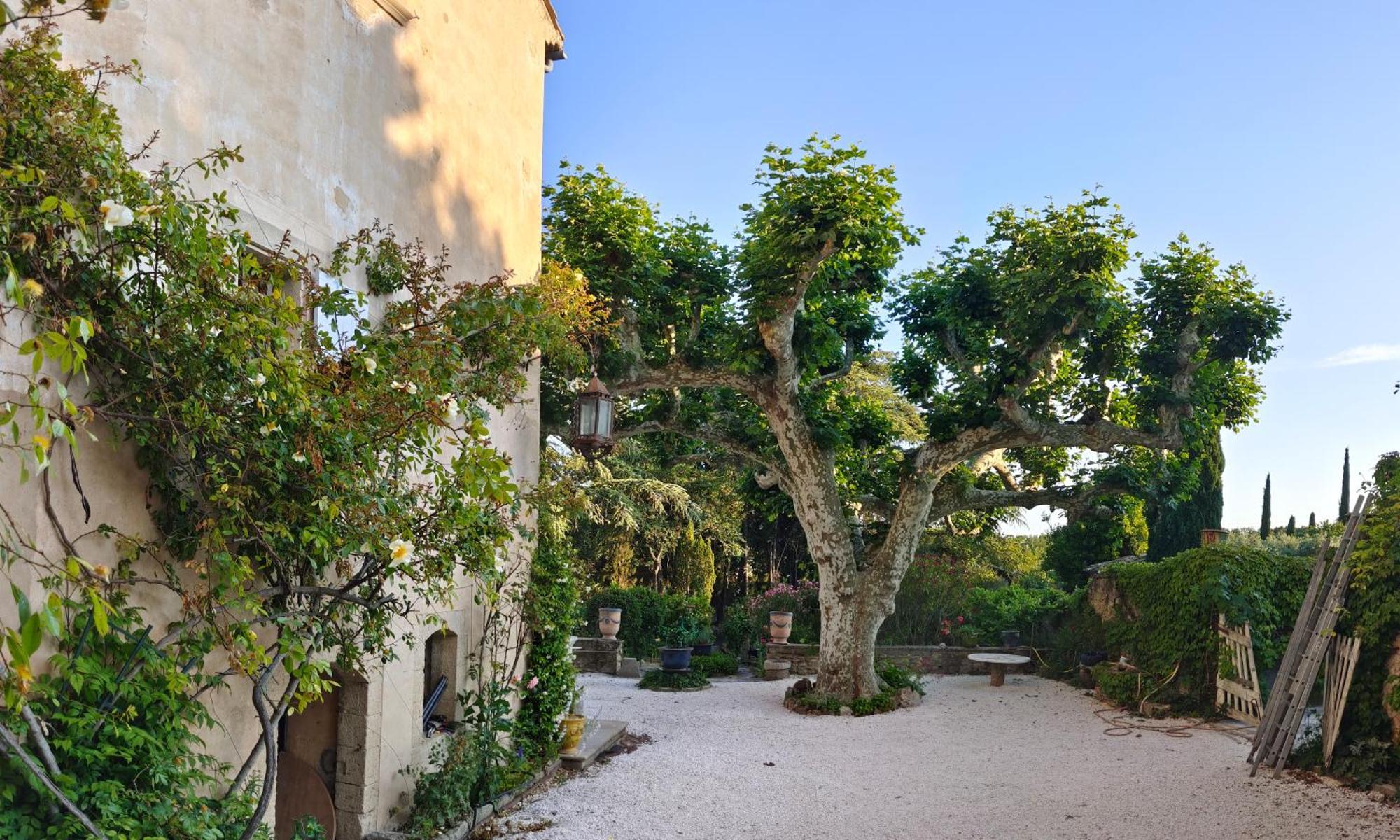 Bed and Breakfast Rue Du Chateau A Cabrieres D'Avignon Exterior foto